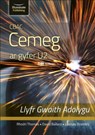 CBAC CEMEG U2 LLYFR GWAITH ADOLYGU (WJEC CHEMISTRY FOR A2 LEVEL – REVISION WORKBOOK) - David Ballard ; Lindsay Bromley ; Rhodri Thomas - 9781912820948