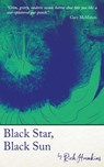 Black Star, Black Sun - Rich Hawkins - 9781913038243