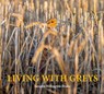 Living with Greys - Tarquin Millington-Drake - 9781913159740