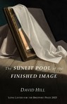 The Sunlit Pool of the Finished Image - David Hill - 9781913432904
