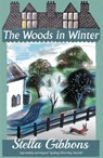 The Woods in Winter - Stella Gibbons - 9781913527815