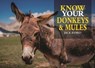 Know Your Donkeys & Mules - Jack Byard - 9781913618049