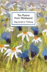 Ten Poems from Welshpool - Di Slaney - 9781913627249