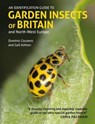 Identification Guide to Garden Insects of Britain and North-West Europe - Dominic Couzens ; Gail Ashton - 9781913679255