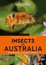 A Naturalist's Guide to the Insects of Australia - Peter Rowland - 9781913679262