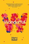 Wonderful - Harry Baker - 9781913958596
