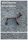 Nature Spotting - Russell Weekes (RT#53) - WEEKES,  Russell - 9781914236266