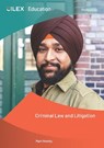 Criminal Law and Litigation - Mark Newby - 9781914573743