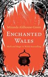 Enchanted Wales - Miranda Aldhouse-Green - 9781915279187
