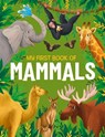 My First Book of Mammals - Eliza Jeffery - 9781915461940
