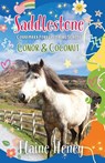 Saddlestone Connemara Pony Listening School | Conor and Coconut - Elaine Heney - 9781915542731
