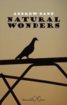 Natural Wonders - Andrew Sant - 9781915553553