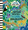 Animal Words for Little Zoologists - Will Millard - 9781915569431