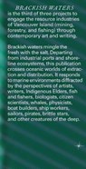Brackish Waters - Jesse Birch - 9781915609861