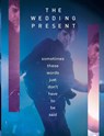 Sometimes These Words Just Don't Have To Be Said - Richard Houghton ; David Gedge - 9781915858320