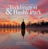 Wild about Teddington & Bushy Park - Andrew Wilson - 9781916485877