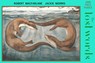The Lost Words 1000 Piece Jigsaw Puzzle: Otters -  - 9781917543088