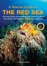 A Marine Guide to the Red Sea - Lawson Wood - 9781917879170