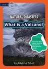 What is a Volcano? - Adelina Tibell - 9781922550194