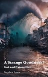 A Strange Goodness? - Stephen Ames - 9781923006638