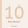 10 Baby Bunnies - Prue Pittock - 9781923091184