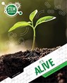 It's Alive - John Lesley - 9781925860832