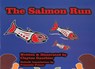 The Salmon Run - Clayton Gauthier - 9781926886442