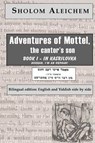 From the Home to America - Sholem Aleichem ; Sholom Aleichem - 9781929068289