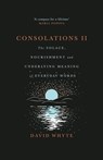 Consolations II: The Solace, Nourishment and Underlying Meaning of Everyday Words - David Whyte - 9781932887594