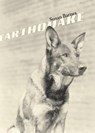 Earthquake - Susan Barnes - 9781933527116