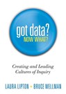 Got Data? Now What?: Creating and Leading Cultures of Inquiry - Laura Lipton - 9781936765034