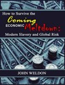 How to Survive the Coming Economic Meltdown - John G. Weldon - 9781937136314