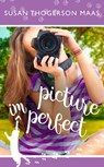Picture Imperfect - Susan Thogerson Maas - 9781941720110