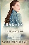 Byway to Danger - Sandra Merville Hart - 9781942265566