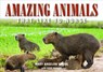 Amazing Animals - Mary Angelon (Mary Angelon Young) Young ; Ashe (Ashe Parker) Parker - 9781942493488