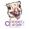 O! What a Day! - Oliver Bestul - 9781943331253