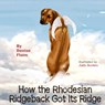 How The Rhodesian Ridgeback Got Its Ridge - Denise Flaim - 9781943824045