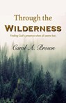 Through The Wilderness - Carol A Brown - 9781944798031