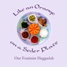 Like an Orange on a Seder Plate - Ruth Simkin - 9781945805639