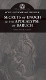 More Lost Books of the Bible - R H Charles - 9781947826236