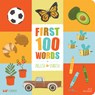 First 100 Words in English and Spanish - Patty Rodriguez ; Ariana Stein - 9781947971349