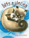 Bits & Pieces - Judy Schachner - 9781948959872