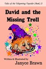 David and the Missing Troll - Janyce Brawn - 9781949187281
