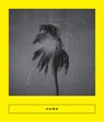 Home: New Arabic Poems - Iman Mersal - 9781949641073