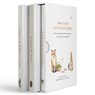 Our Little Adventure Series - Tabitha Paige - 9781950968015
