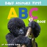 Baby Animals First ABC Book - CLAIRE,  Alexandra - 9781951412005