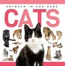Cats - Rebecca Phillips-Bartlett - 9781952455919