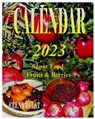 Calendar 2023. Super Food. Fruits & Berries - PANKEY,  Elena ; Bulat, Elena - 9781952907616