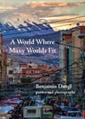 A World Where Many Worlds Fit - Benjamin Dangl - 9781953236999