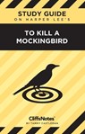 CliffsNotes on Lee's To Kill a Mockingbird - Tammy Castleman - 9781957671499